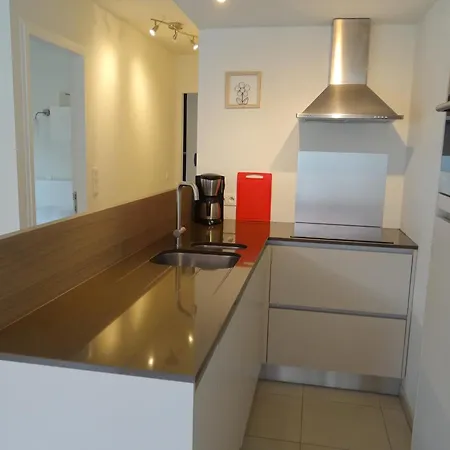 Appartement In Near The *