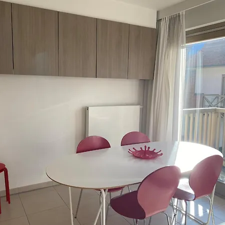 In Near The Apartmán Nieuwpoort