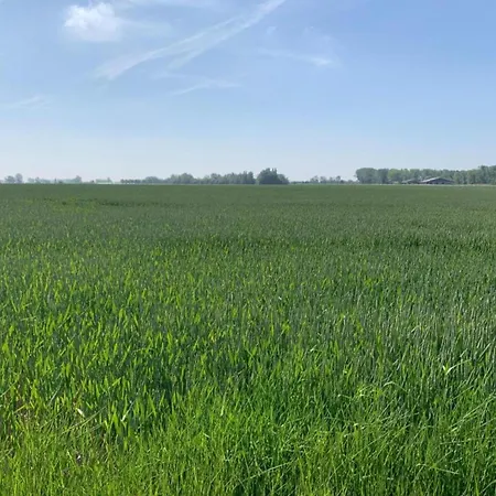 In Near The Appartement