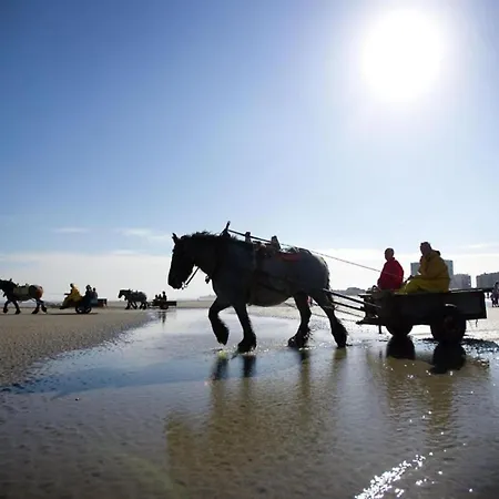 Appartement In Near The *