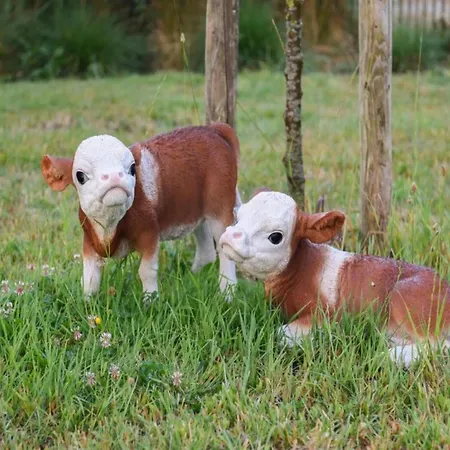 In Near The Appartement Nieuport