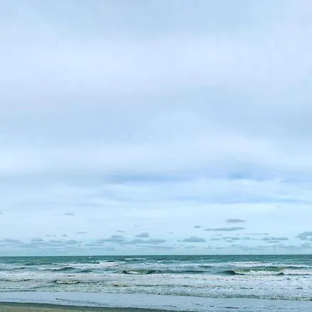 In Near The Nieuport