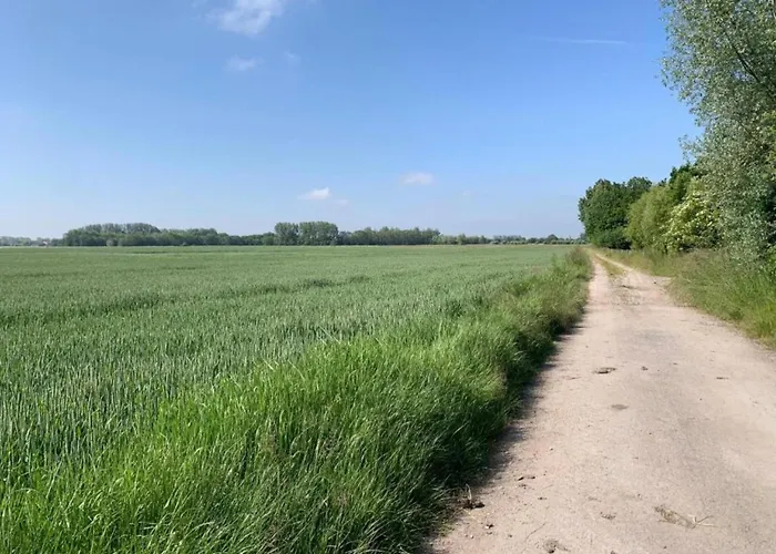 In Near The アパート *