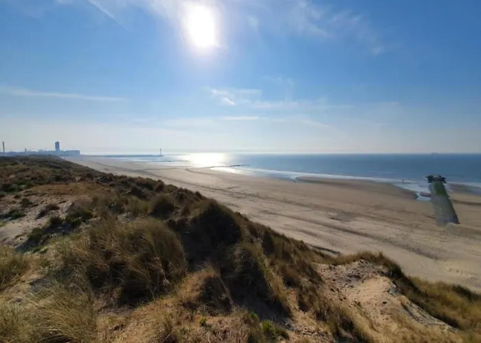 In Near The アパート