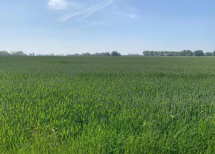 In Near The アパート