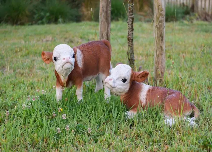 In Near The アパート ニーウポールト