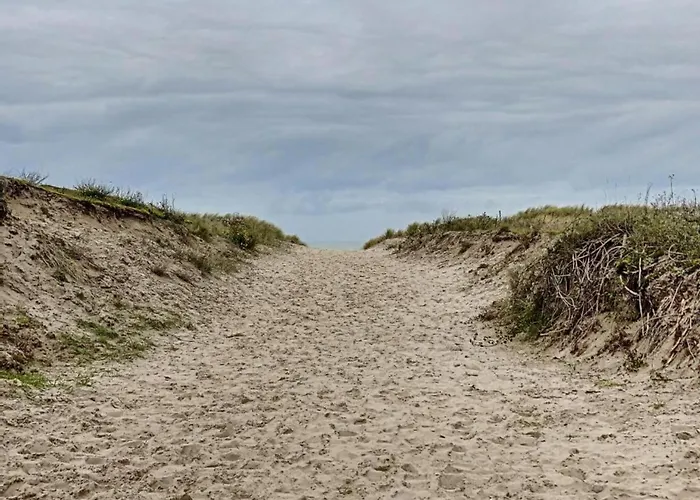 In Near The アパート