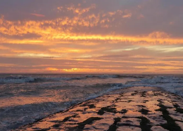 In Near The アパート *